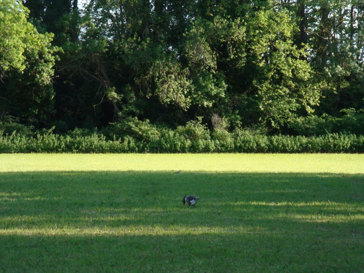 Gite Du Gardien Saint-Martin-de-Crau Eksteriør bilde